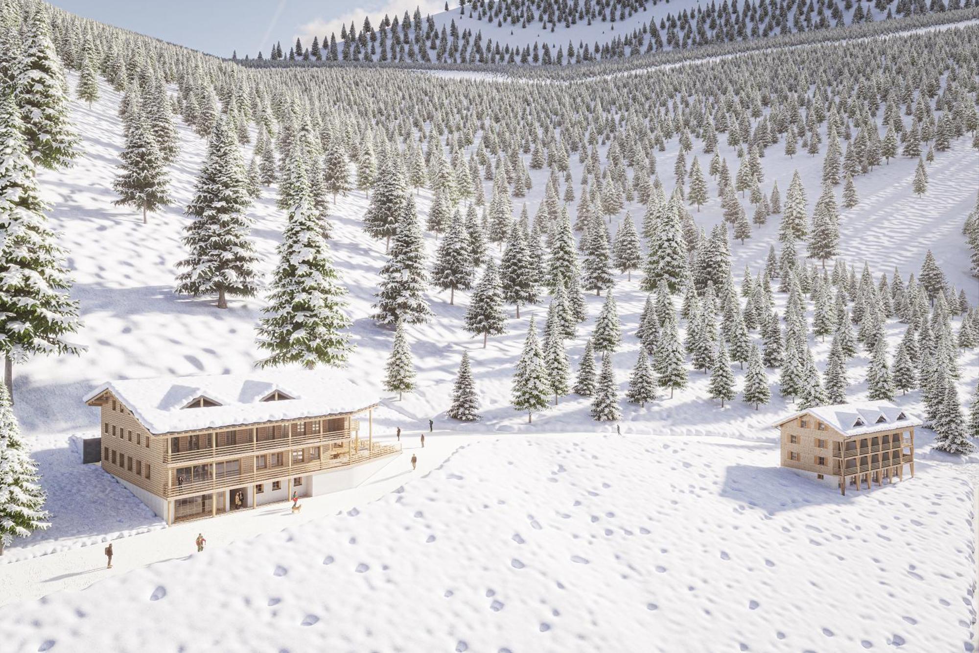 Wald & Wiesn Hotel Balderschwang